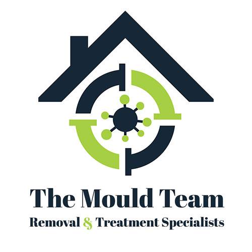 about_us_the_mould_team_image